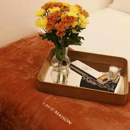Lavie Maison Marais Ac Hot Tub Apartment *