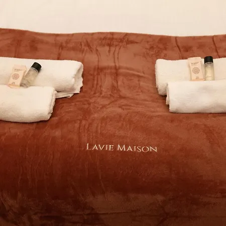 Apartment Lavie Maison Marais Ac Hot Tub