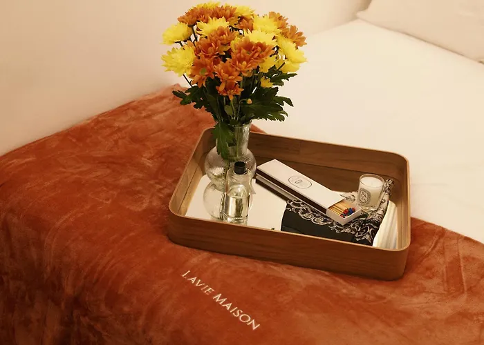 Lavie Maison Marais Ac Hot Tub דירה *